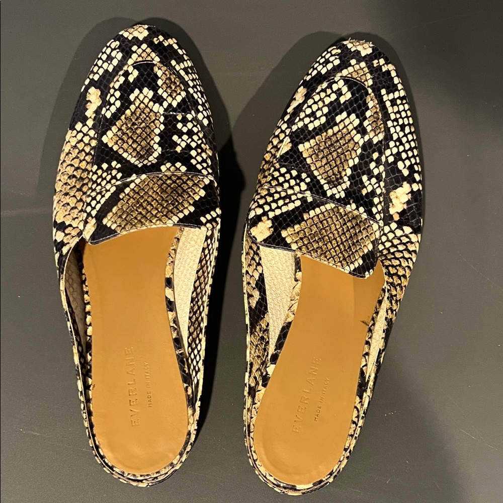Everlane Snakeskin Pattern Loafers